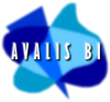 Avalis BI - Home